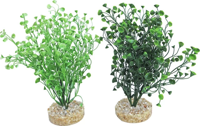 Sydeco Aquarium Planten Water Wild Grass 3 Sydeco Aquarium Planten Water Wild Grass