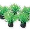 SuperFish Nano Aquariumplanten 2 SuperFish Nano Aquariumplanten -Dieren Verkoop 1094037954