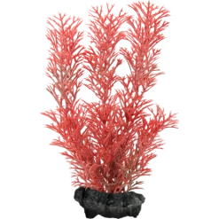 Tetra Decoart Plant Foxtail Red S