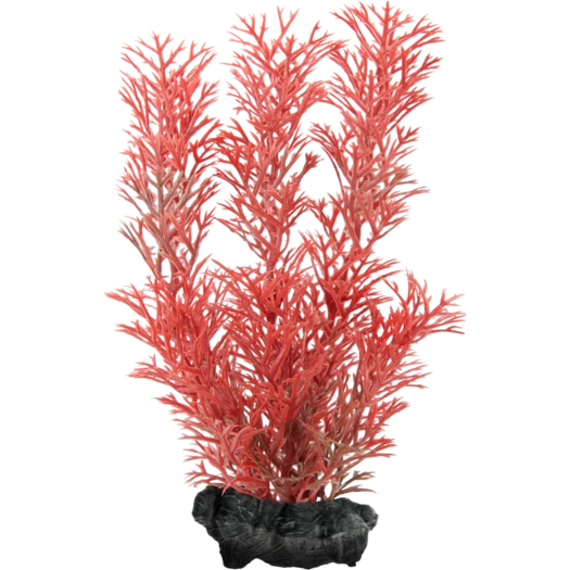 Tetra Decoart Plant Foxtail Red S 3 Tetra Decoart Plant Foxtail Red S