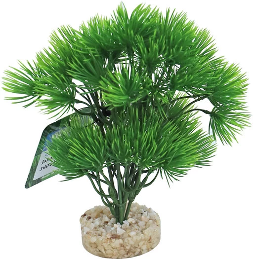Sydeco Aquarium Planten Japan Tree 16cm 3 Sydeco Aquarium Planten Japan Tree 16cm