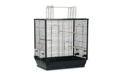 Beeztees Vogelkooi Fiona Open Zwart