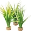 Sydeco Aquarium Planten Oasis Baby 1 Sydeco Aquarium Planten Oasis Baby -Dieren Verkoop 1427944756