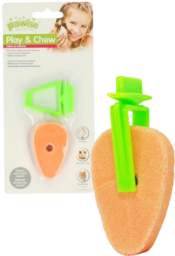 Pawise Liksteen Met Houder