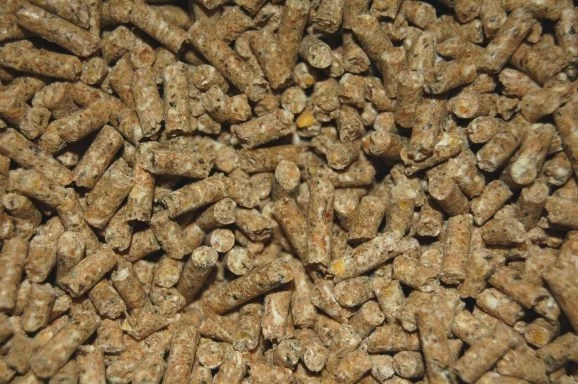 Kippen Legkorrel 5 Kilo 3 Kippen Legkorrel 5 Kilo