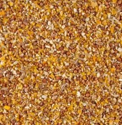 Deli Nature Kuikenzaad