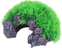 Ornament Groene Mosrots Met Luchtsteen