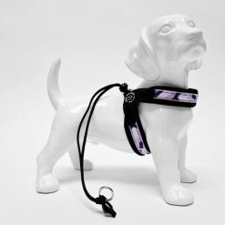 Tre Ponti Liberta Penny Honden- En Kattentuig