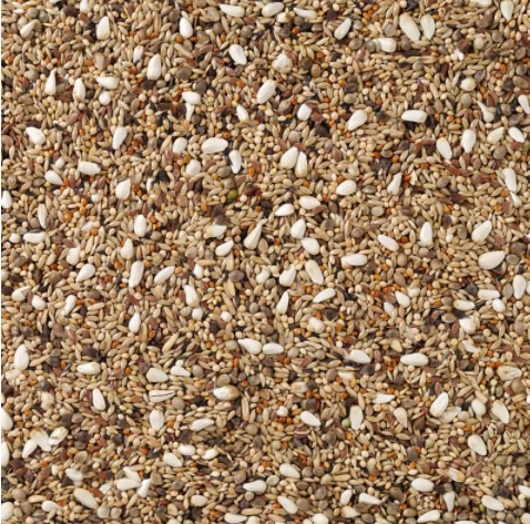 Agapornis Neophema Vogelvoer 3 Agapornis Neophema Vogelvoer