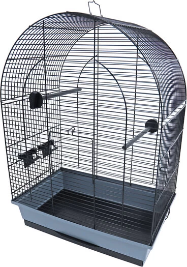 Vogelkooi Lusi 2 3 Vogelkooi Lusi 2