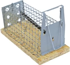 Luna Levende Vangkooi Muizen