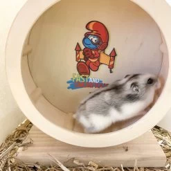 Duvo Jetpack Smurf Houten Loopwiel 15 Cm