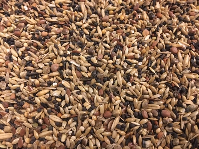 Wildzang Vogelvoer 3 Wildzang Vogelvoer