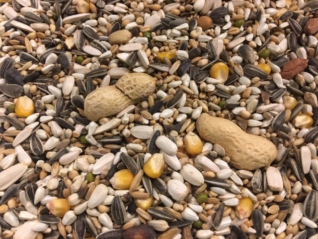 Papegaaienvoer 3 Papegaaienvoer