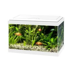 Ciano Aquarium 20 Wit