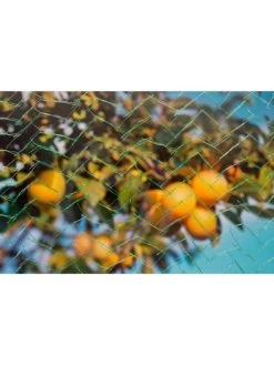 Nature Tuinnet Mono Groen 5x4 Meter