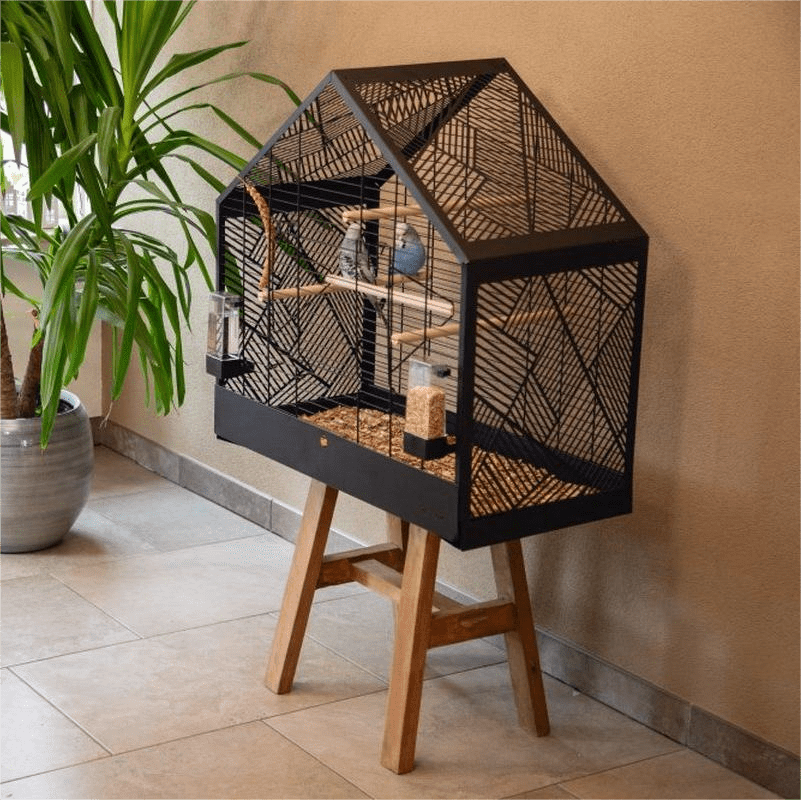 Dieren Verkoop -Dieren Verkoop 1200x80011 min